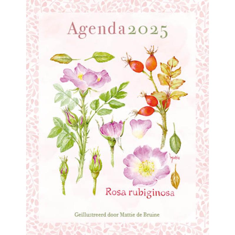 Mattie agenda 2025